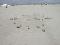 Ducks floating on the playa