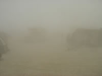 Dust Storm!