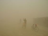 Dust Storm!