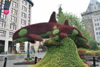 Victoria, British Columbia