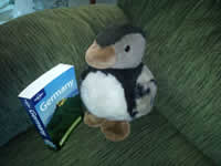 Reading a book