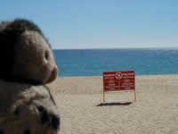 Cabo San Lucas, Mexico