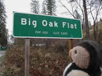 Big Oak Flat, California