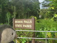 Akaka Falls State Park, Hawaii
