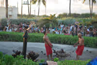 Luau Night in Hawaii