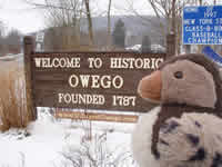 Village of Owego, New York