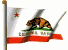 State Flag