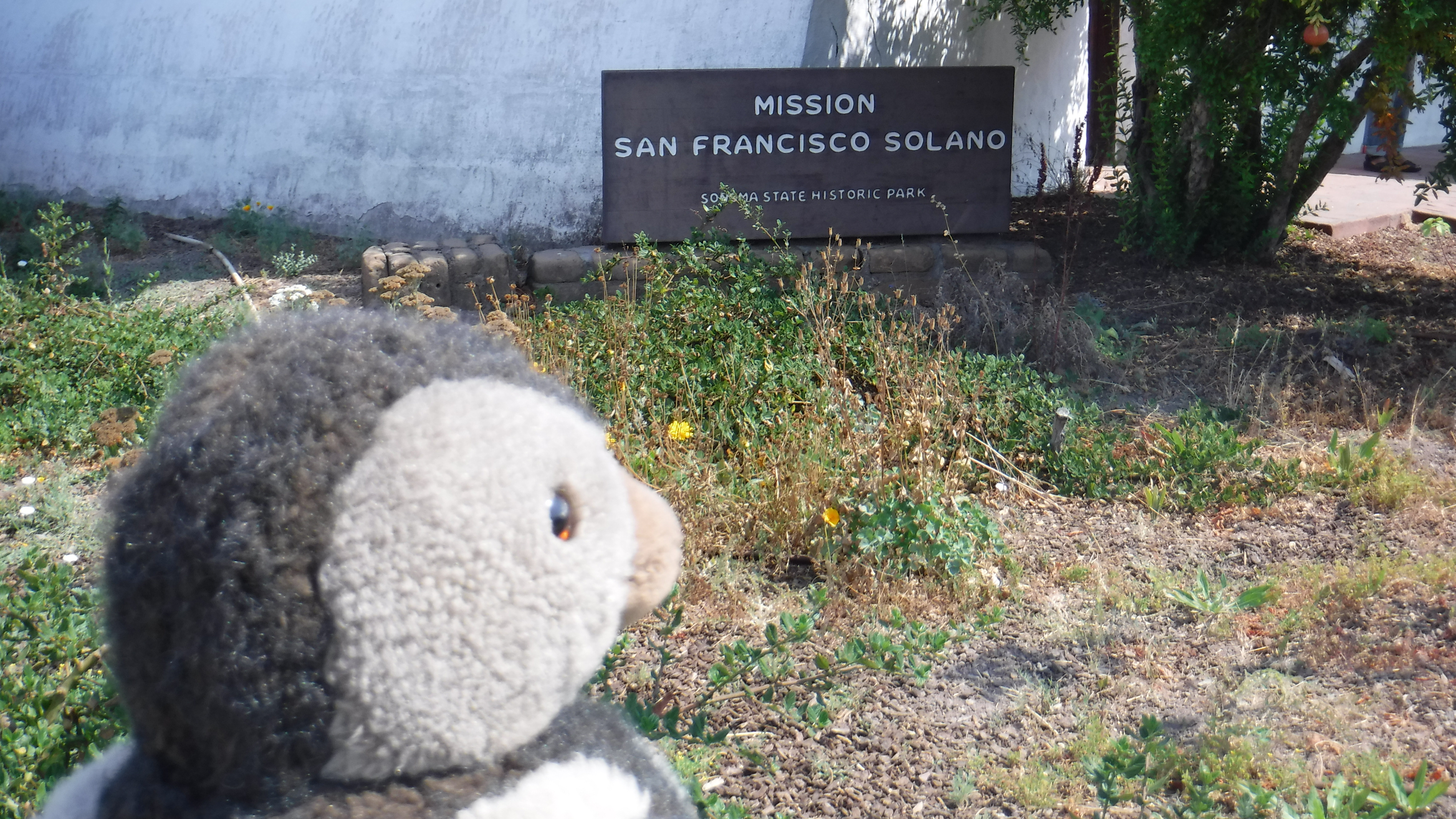 Mission San Francisco Solano